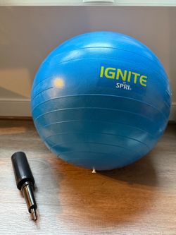 Weighted Exercise Ball