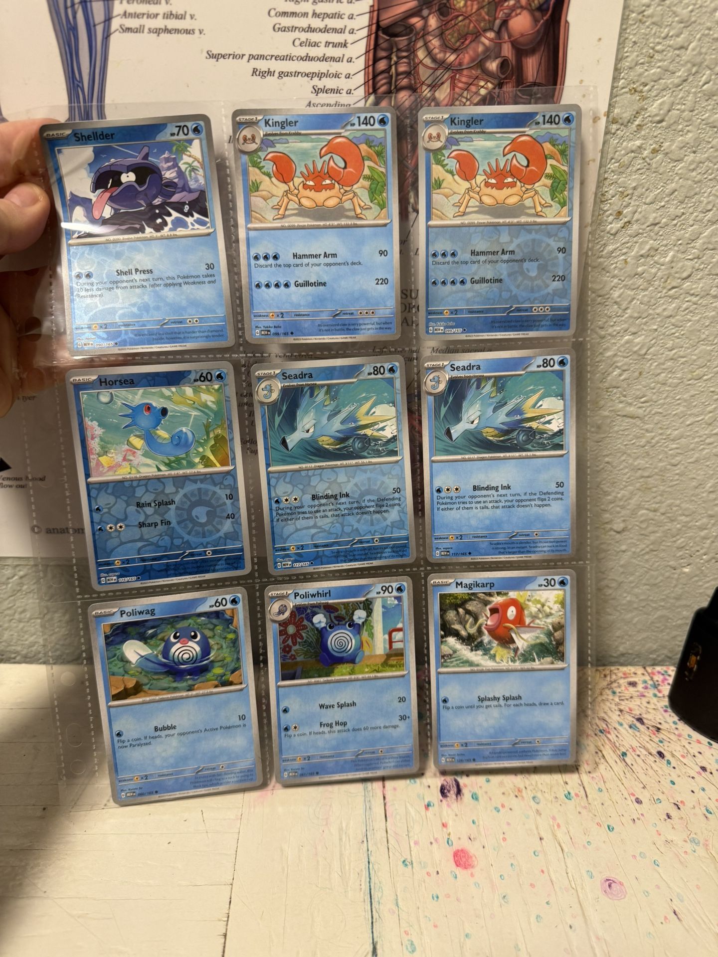 Entire Pokemon Card Collection