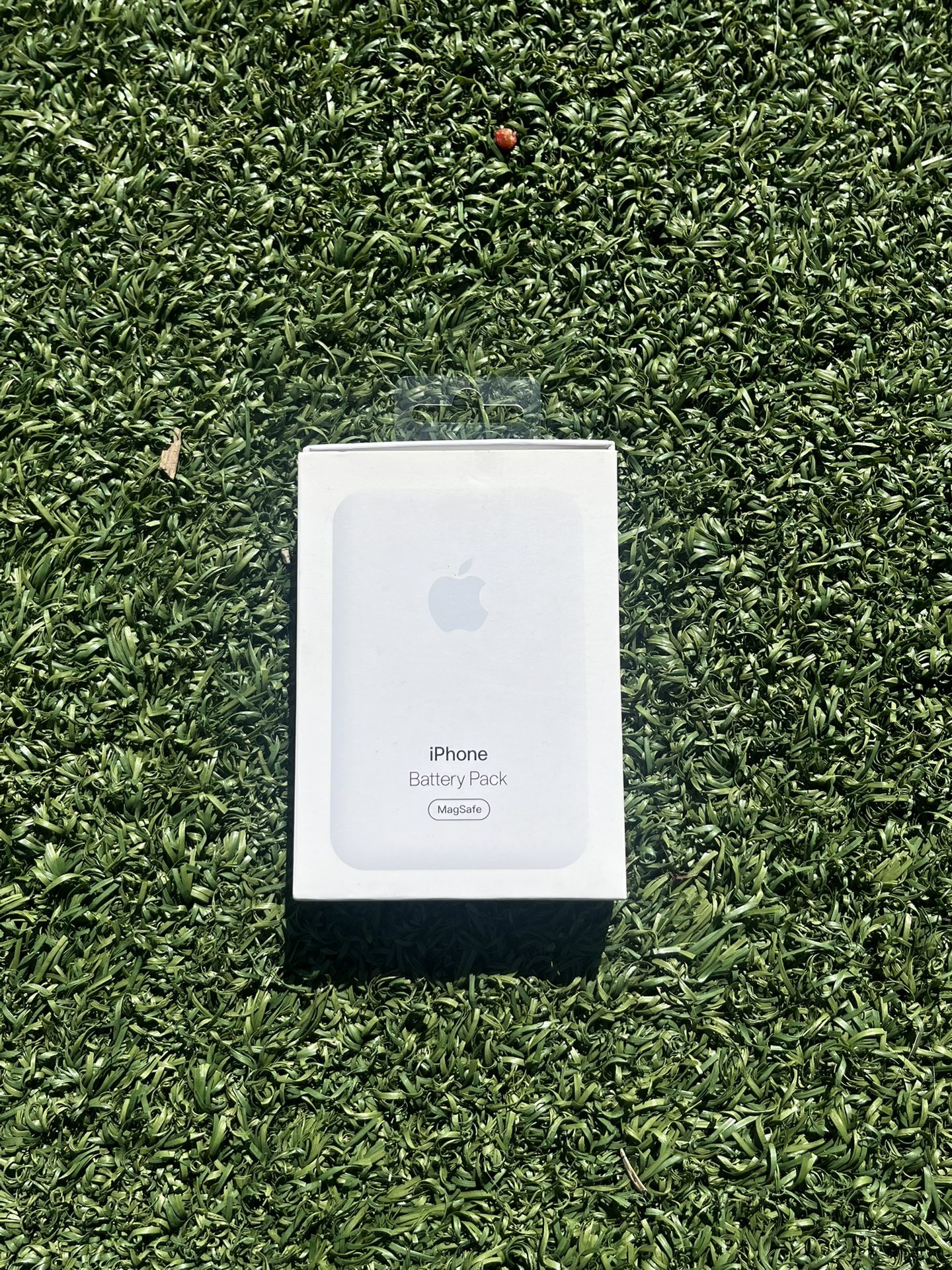 Apple battery Pack