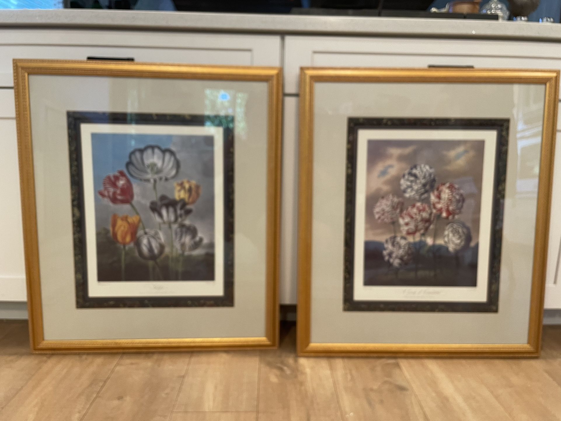 Paintings