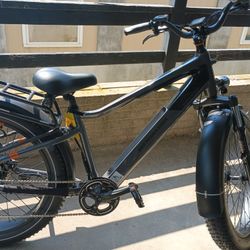 Rad Power Electric Bicycle W/Rack And Basket