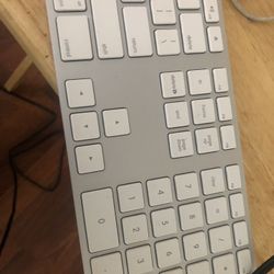 Keyboard Apple 