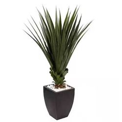 Indoor/Outdoor Spiked Agave Artificial Plant in Black Planter