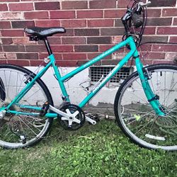 Bicycle For A Grown-Up  One For Boy And One For Girl 