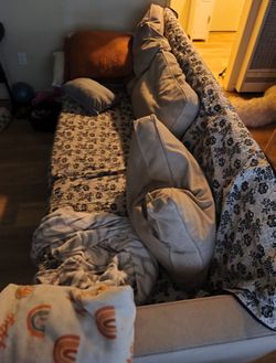 Free sectional couch