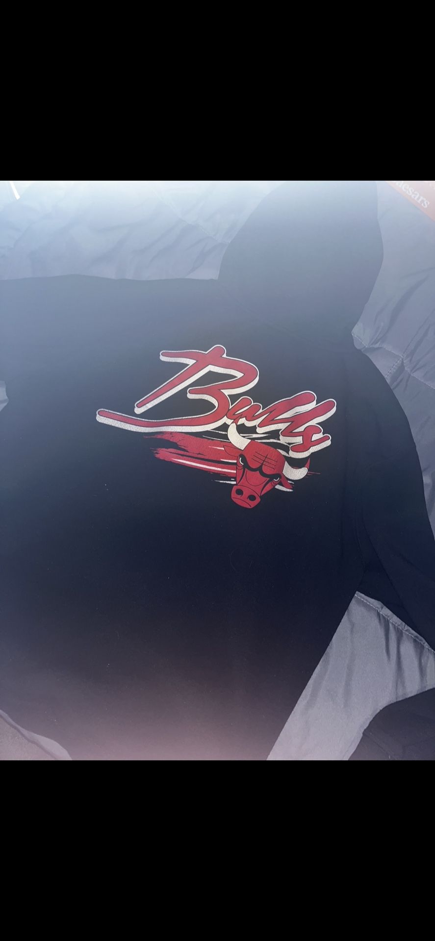 vintage 1990’s chicago bulls hoodie size Large