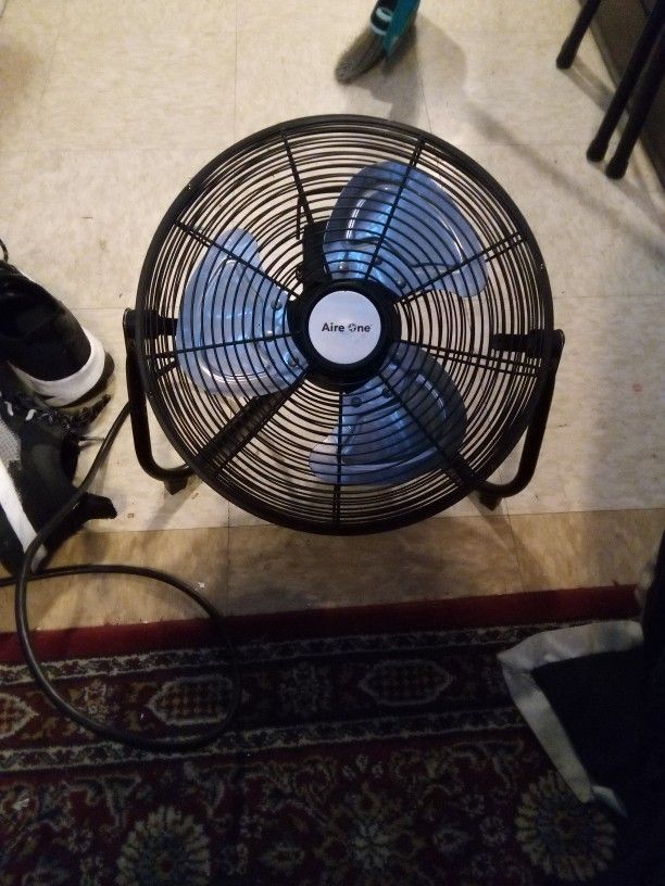 Fan