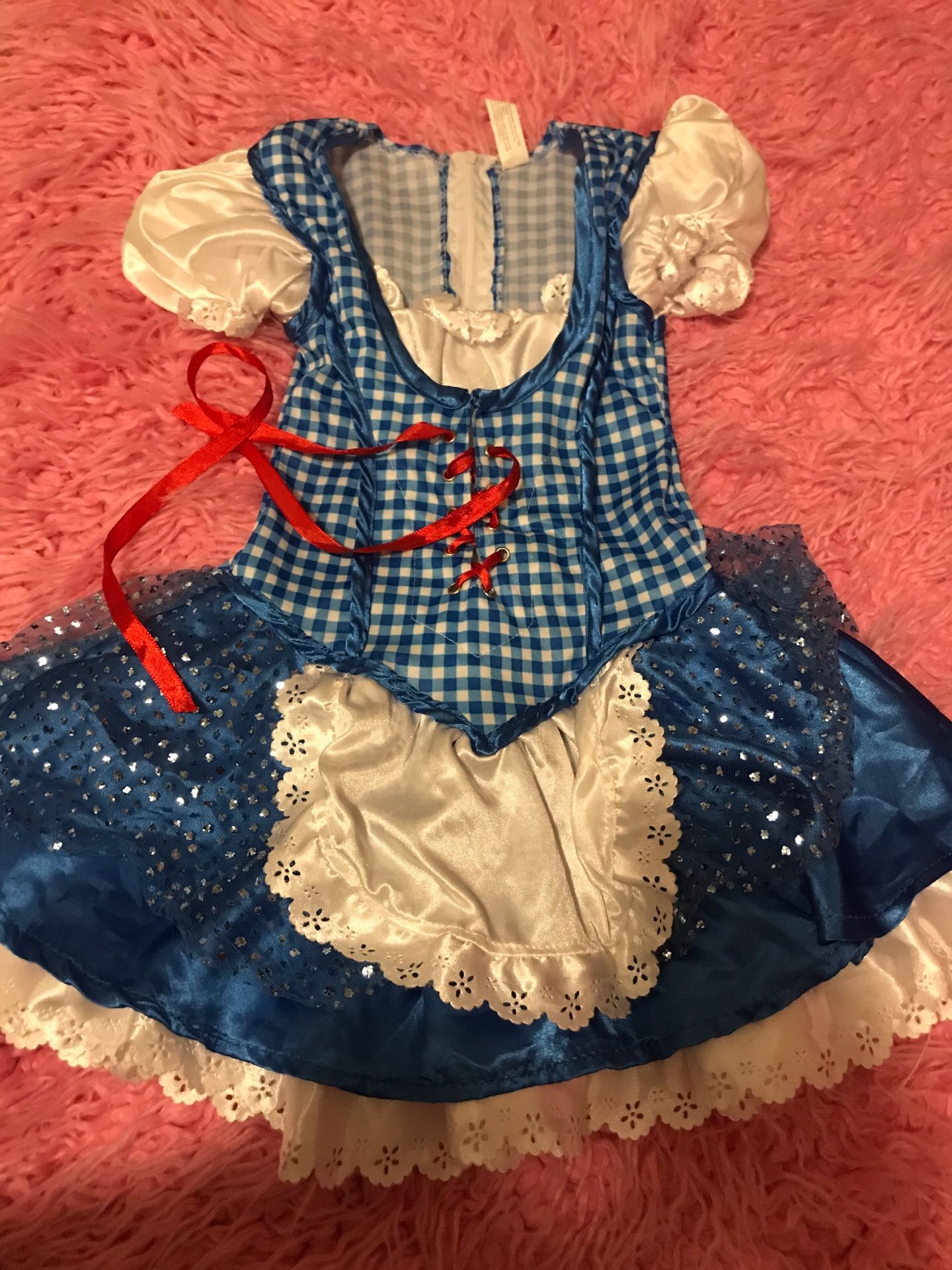 Dorothy costume 2t -3t