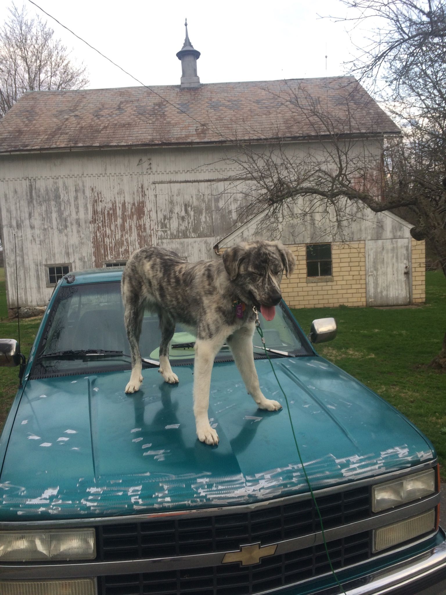 https://offerup.co/faYXKzQFnY?$deeplink_path=/redirect/ / General Contracting And Conveyance