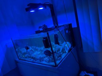 Ai hydra 32 reef light with mounting