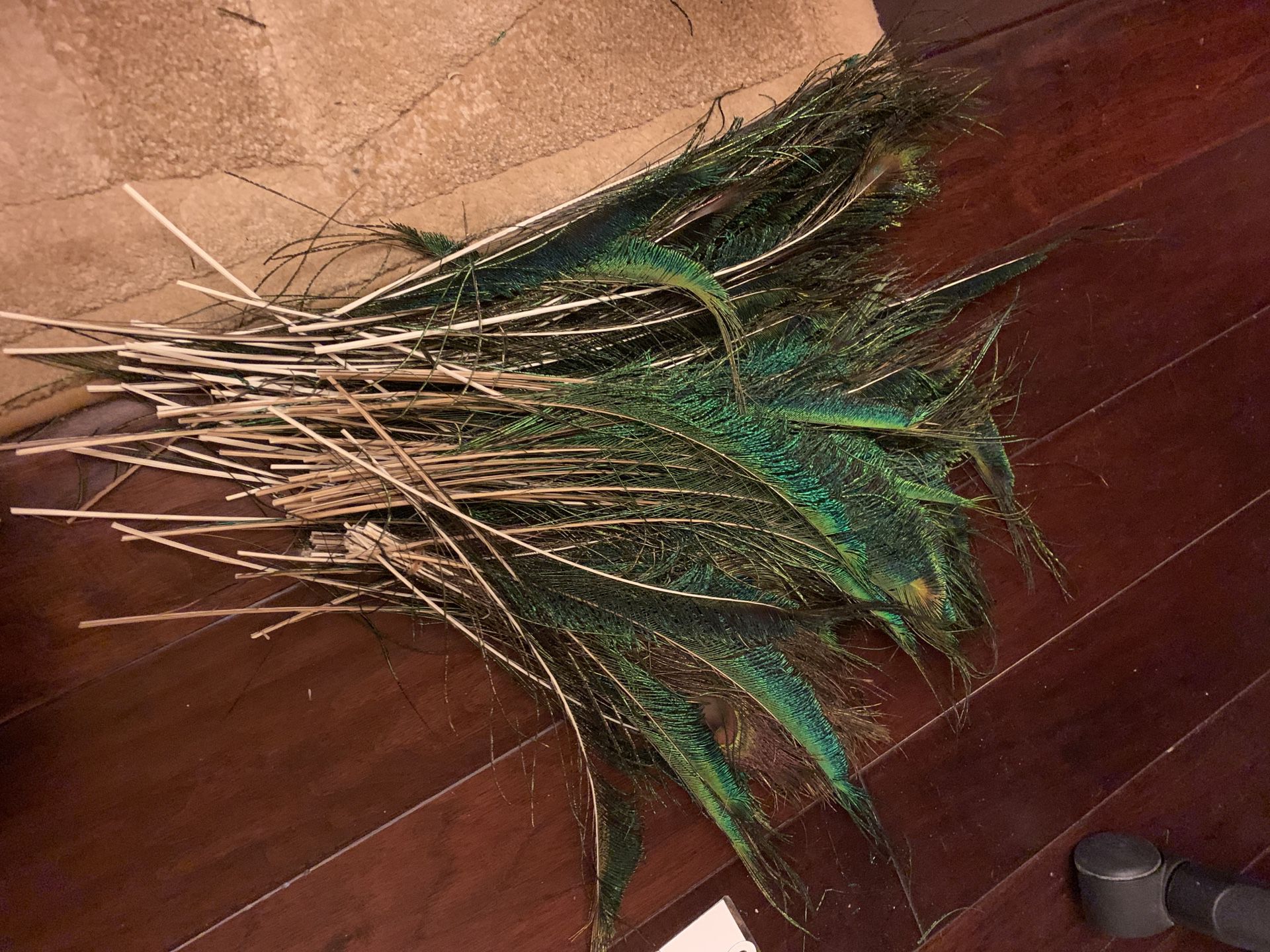 Peacock feathers (faux)