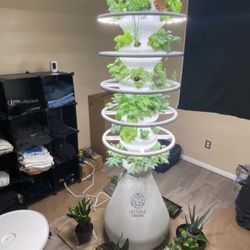 Plant Grower/ Crecedor De Plantas O Verduras