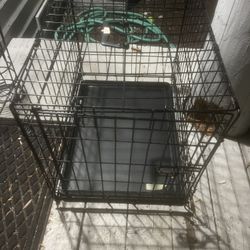 Dog Cage 