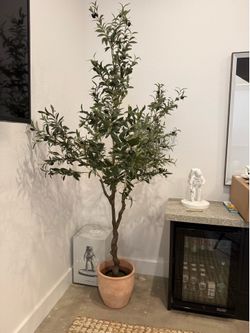 Large Faux Olive Tree with Terracotta Pot