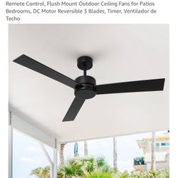 Whose Lamp Ceiling Fan