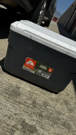 10 Quart Cooler