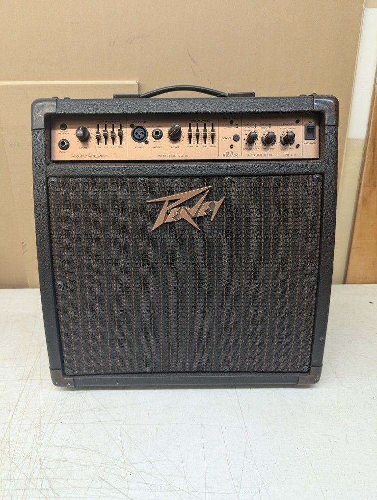 Peavey Guitar Amp Ecoustic 110EFX