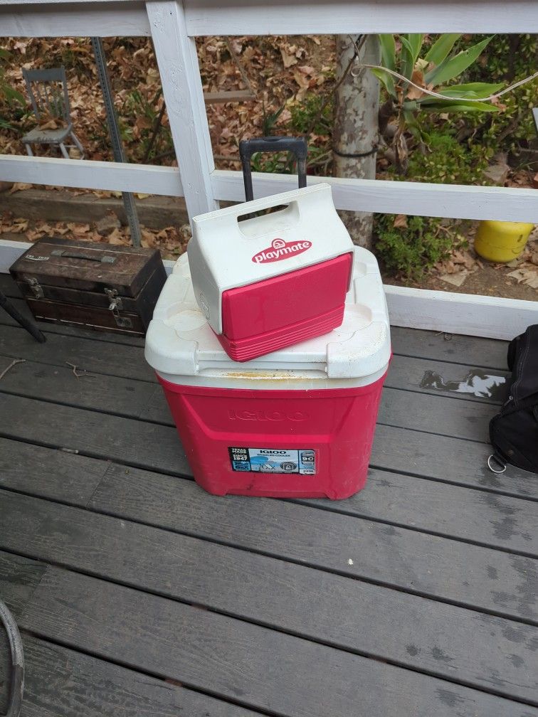 Large Rolling igloo Ice Chest Cooler