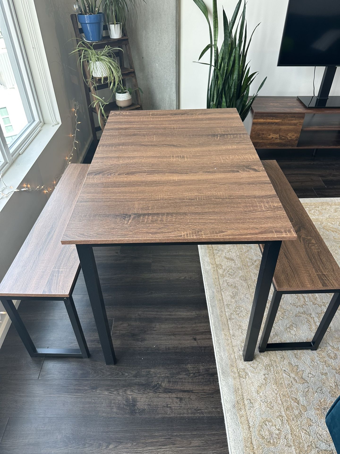 Steady Table With Two Benches
