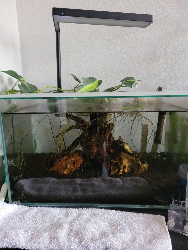 Aquarium Uns Rimless