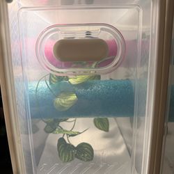 Grow out/ Temporary Crested gecko enclosure