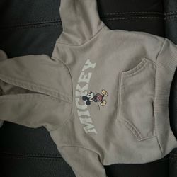 Mickey Mouse, Disneyland