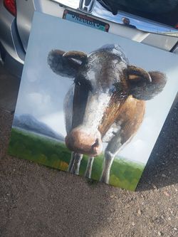 Cow photo - trades welcome