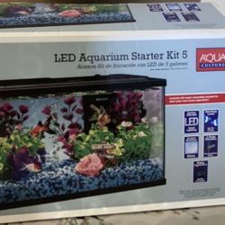 Fish Tank 