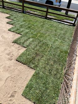 SOD and sprinkler installation