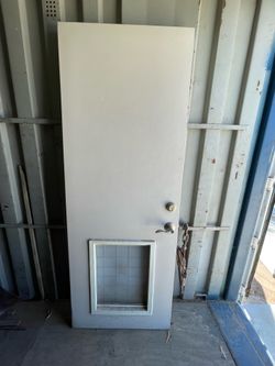 Exterior pet entry solid door