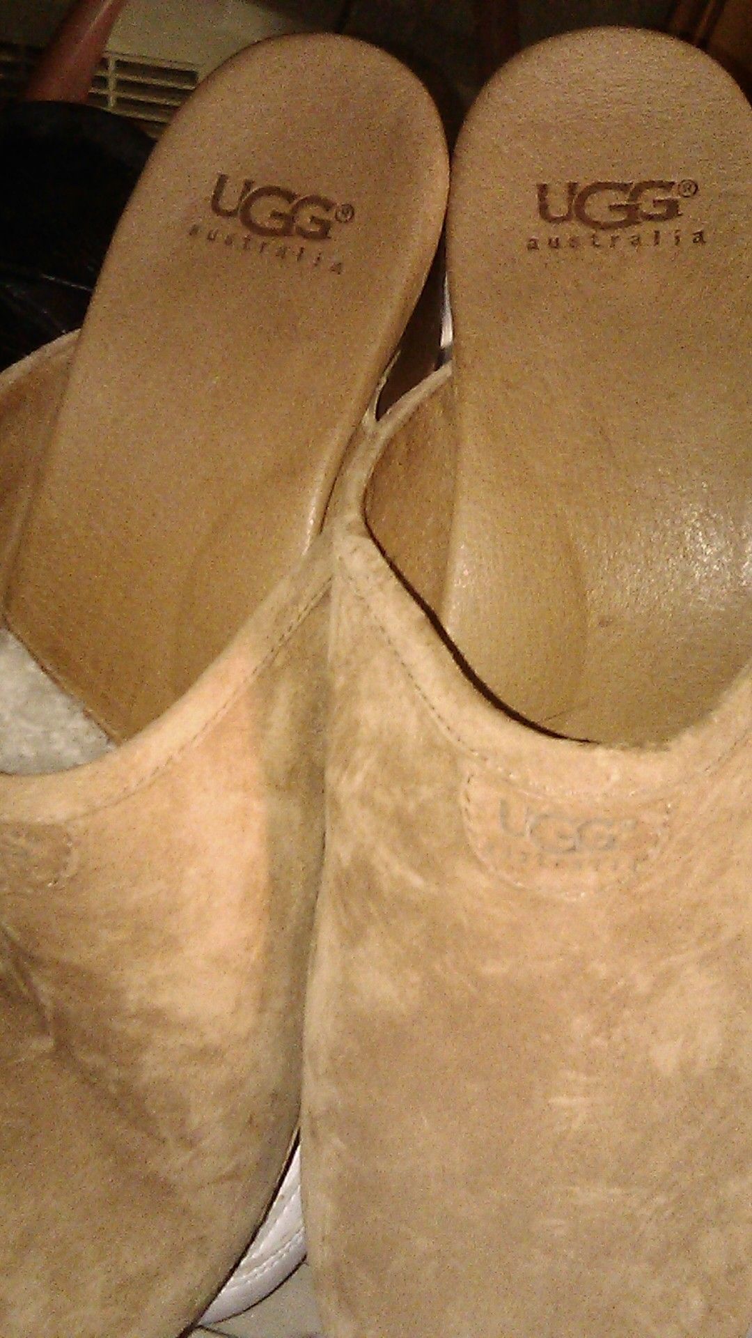 Ugg clogs