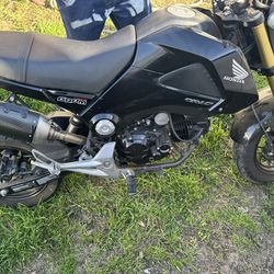 Honda Grom