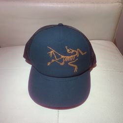 Arcteryx Bird Trucker Hat (new)