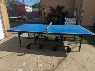 Outdoor ping pong table