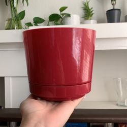 Magenta Flower / Plant Pot 