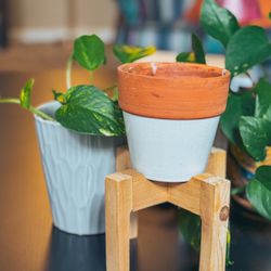 Small Plant Stand And Houseplant Pot