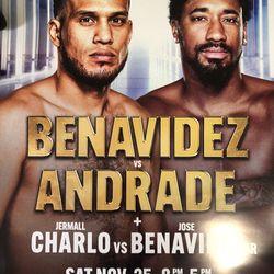 Benavidez Boxing Poster