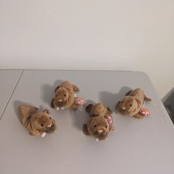 Ty Beanie Babies - Paul 