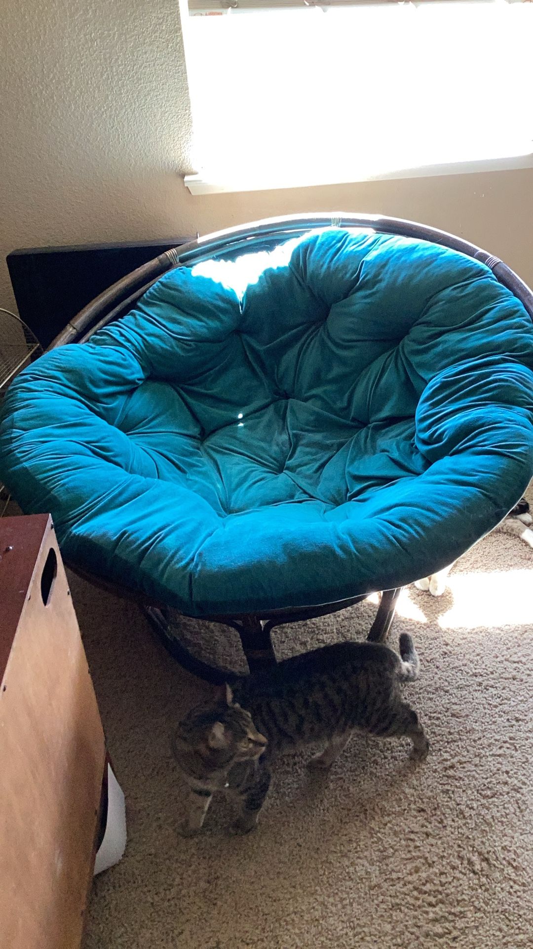 Papasan Chair And Stool