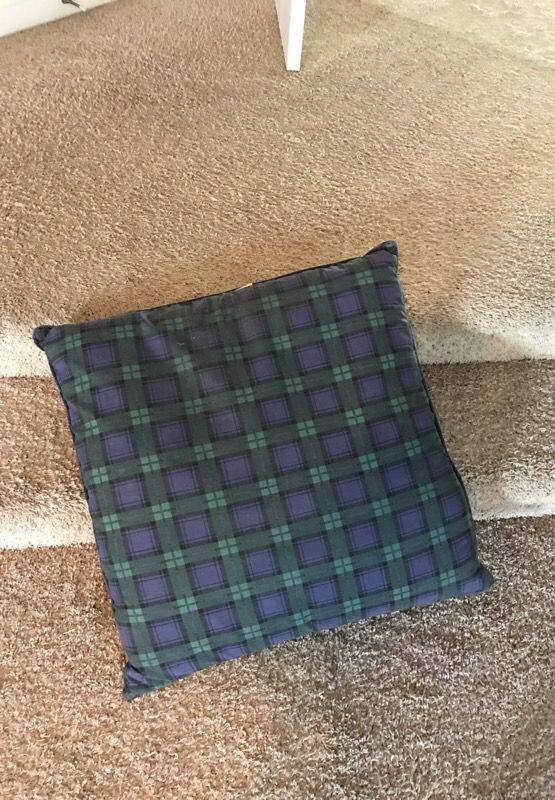 Pet bed / pillow like new!