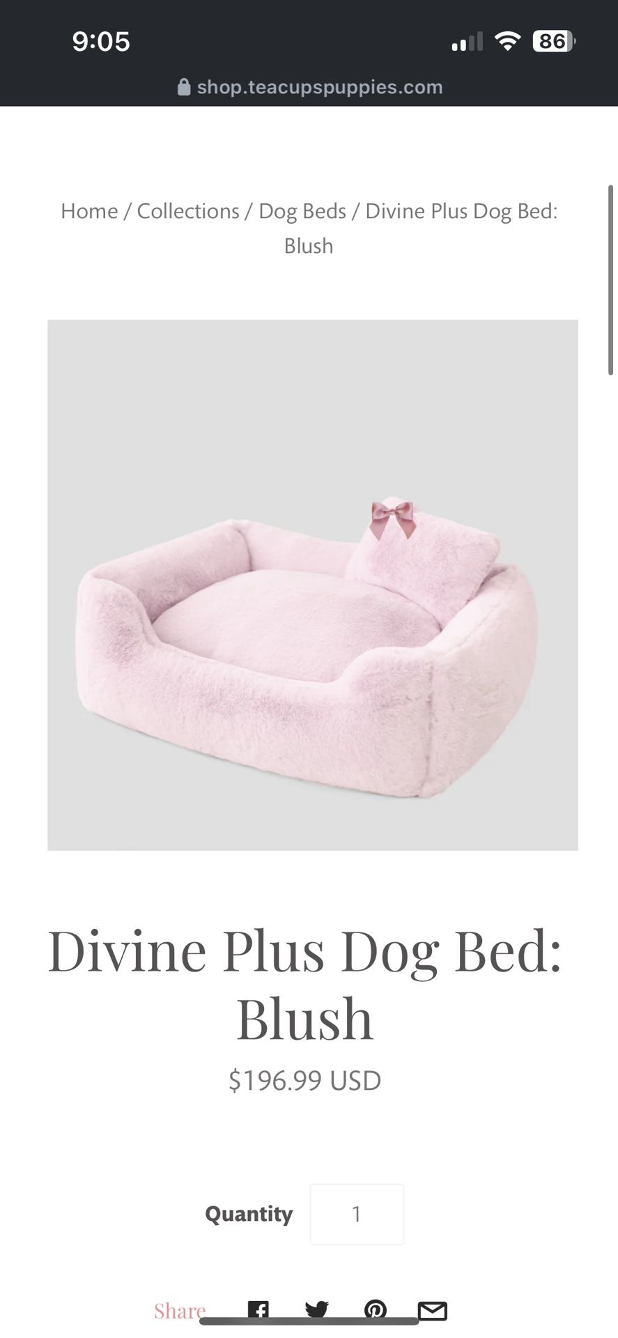 Divine Plus Dog Bed 