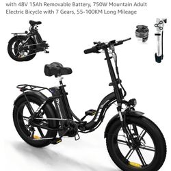 Electric Bike