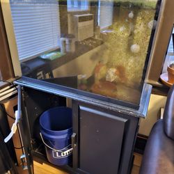 Fish Tank Fish Food Fish Care 