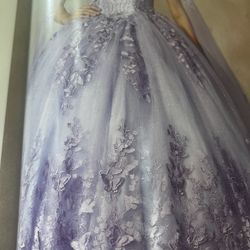 Quinceañera dress Size 14 Worn Once