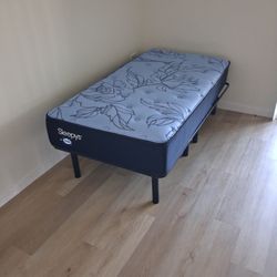 New Twin Bed And Base