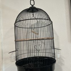 Black Bird Cage