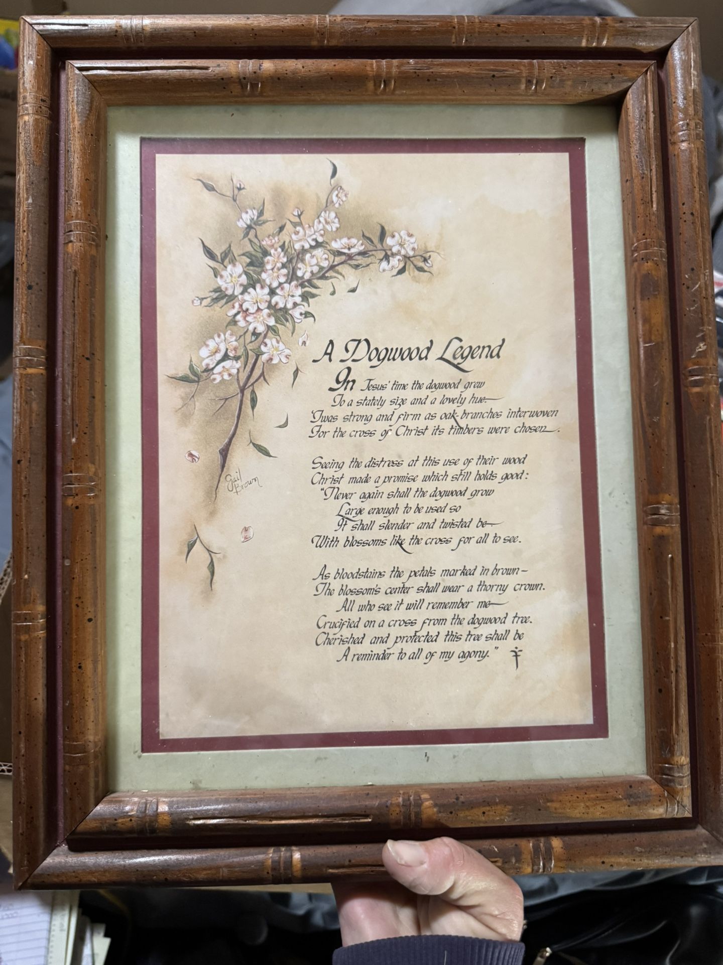 Dogwood, Legend Picture