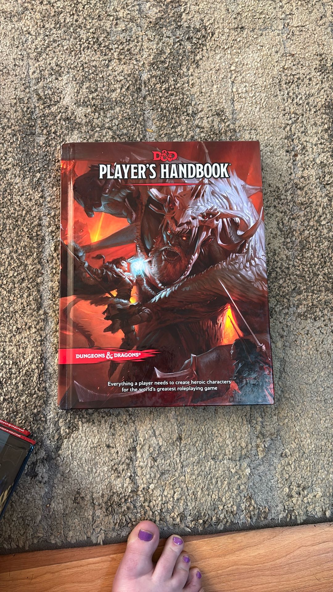 D&D Players Handbook