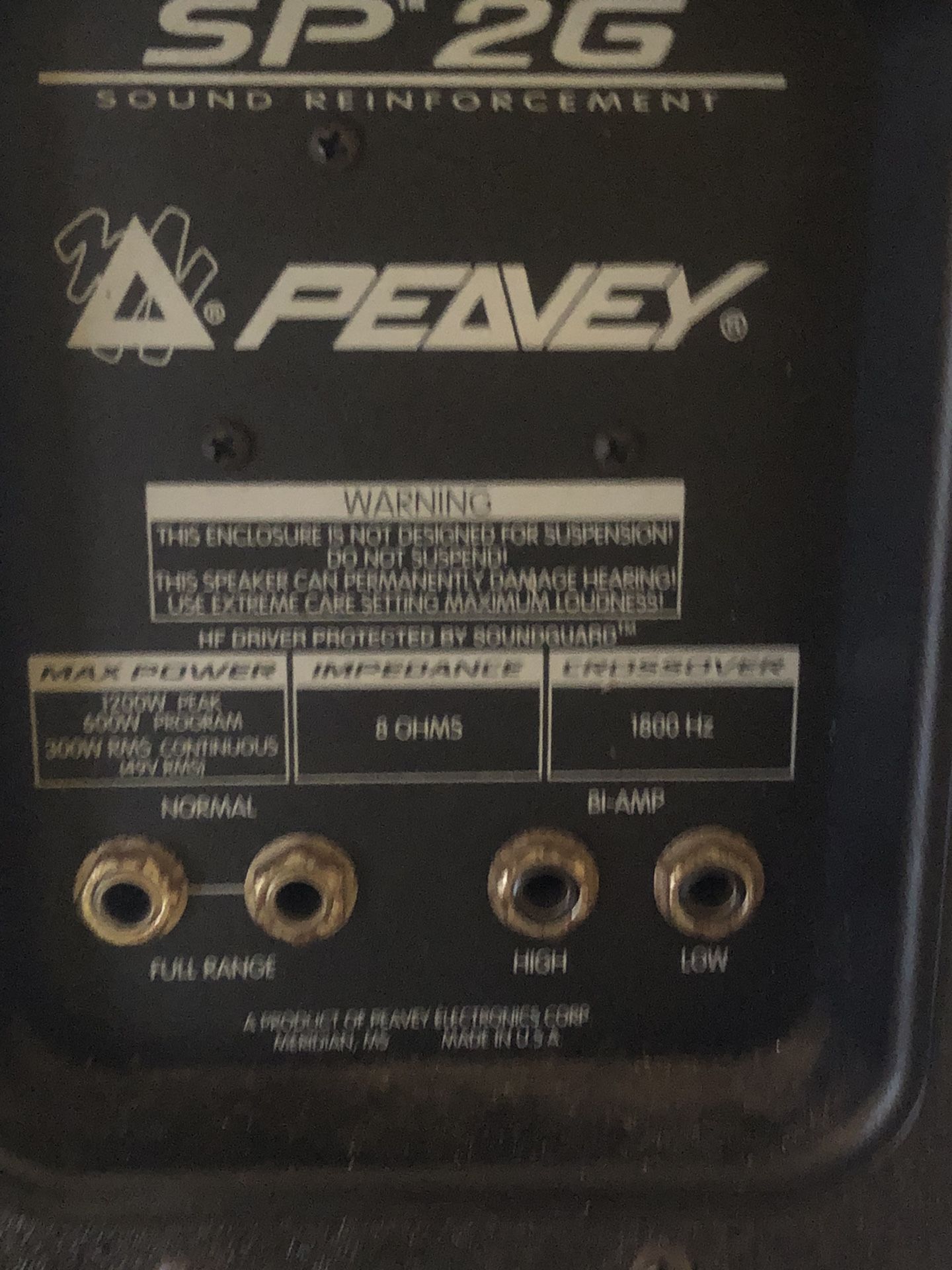 SP2G Peavey (needs minor Repair)