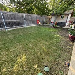 lawn